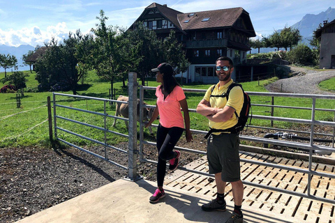 Lucerna: wycieczka po okolicy w małej grupie z degustacją serówLucerna: wycieczka w małej grupie po okolicy z degustacją serów