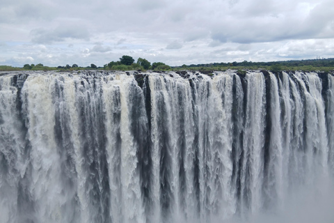 Victoria falls: full day transfer + private guided tour