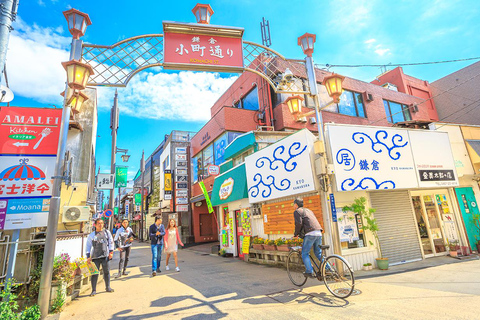 1-Day Tour of Kamakura Buddha, Enoshima, shrine from TokyoTokyo station pick-up 8:00am