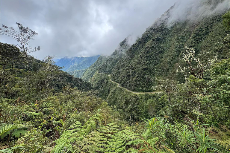 La Paz: Epic Death Road Bike Adventure