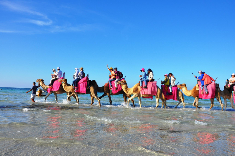 杰尔巴岛：在蓝色泻湖骑骆驼和骑马。杰尔巴：蓝色泻湖骑骆驼和骑马之旅。