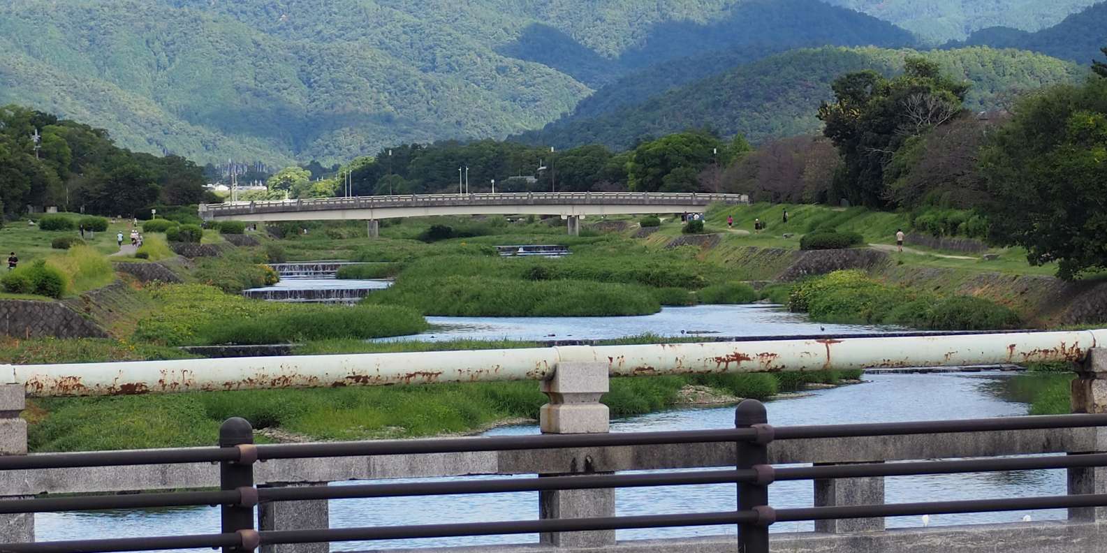 Kyoto experience — temples, geisha, bamboo grove — image 47