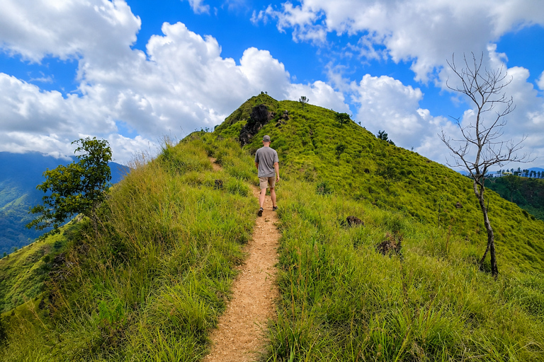 Ella: Hidden Trails Tuk-Tuk Tour with Waterfalls