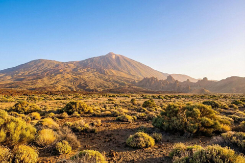 Private Teide & North Tenerife: Volcano, Valleys & Old Towns Afternoon Tour with Sunset Views