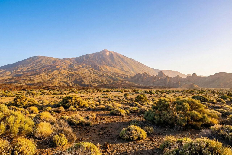 Private Teide & North Tenerife: Volcano, Valleys & Old Towns Afternoon Tour with Sunset Views