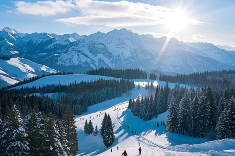 From Osaka or Kyoto: Hakodateyama & Okuibuki Ski 2-Day Trip