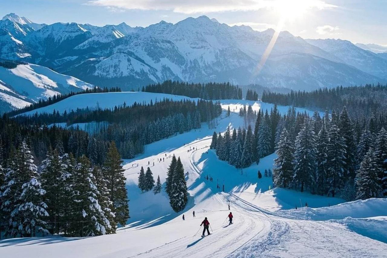 From Osaka or Kyoto: Hakodateyama & Okuibuki Ski 2-Day Trip