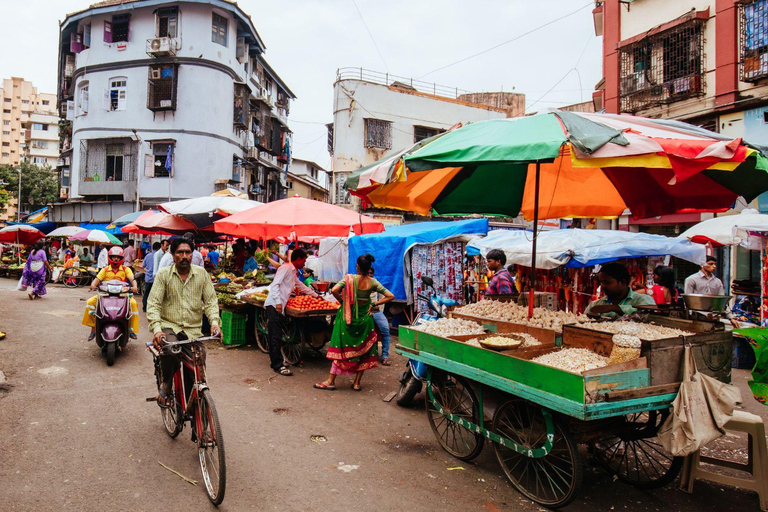 Mumbai: Dagtocht met de lokale trein en hoogtepunten van de stad