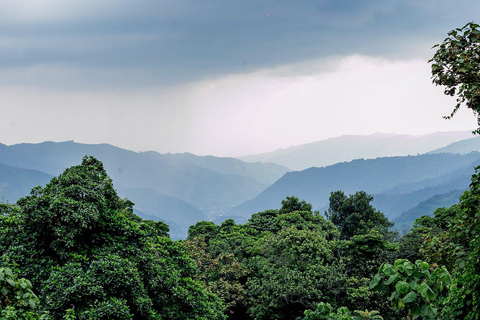 Rwanda: Luxury Gorilla Safari