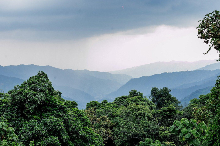 Rwanda: Luxury Gorilla Safari