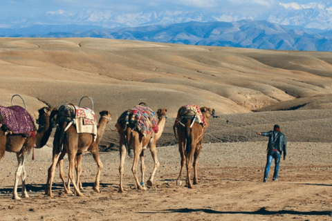 De Marrakech: passeio de camelo ao pôr do sol no deserto de Agafay