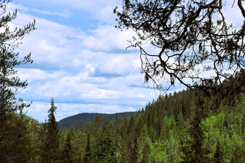 Rovaniemi to Ruka Roller Coaster & Korouoma Canyon Waterfall