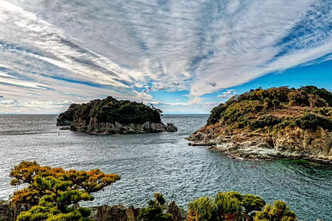 Wakayama: Hidden Coastal Nature & Sunset Tour From Osaka