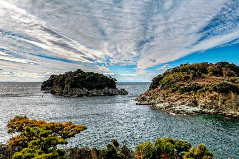 Wakayama: Hidden Coastal Nature & Sunset Tour From Osaka