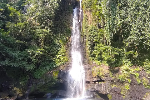 De Yakarta a Bogor: Excursión de un día a la Cascada de Luhur y al Lago Lido