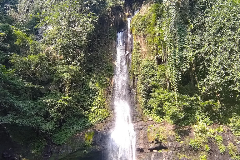 Da Giacarta a Bogor: Escursione di un giorno alle cascate di Luhur e al lago Lido