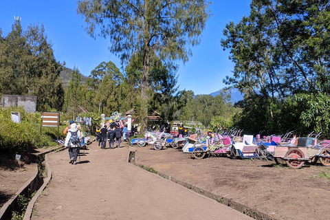 from Yogyakarta Mount Bromo & Ijen Crater with Bali drop-off From Yogyakarta: Waterfall, Bromo & Ijen drop-off Bali