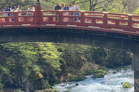 Tokyo: Nikko Nikko Unesco världsarv Privat dagstur &amp; upphämtning