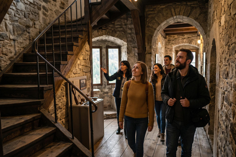 From Bucharest: Peles Castle, Bran Castle & Brasov Day Tour MINIVAN Tour with Entrance tickets included to Peles & Bran