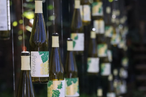 Vlore: Berat Day Trip with Wine Tasting Experience Vlore: Private Berat Day Trip with Wine Tasting Experience