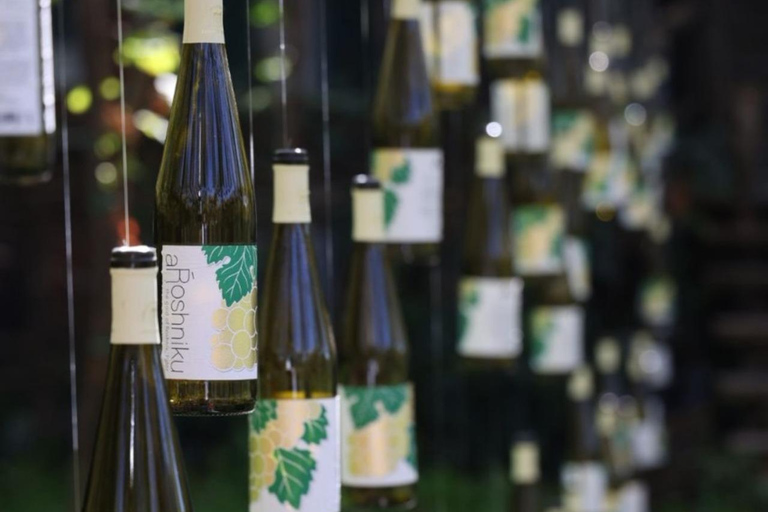 Vlore: Berat Day Trip with Wine Tasting Experience Vlore: Private Berat Day Trip with Wine Tasting Experience