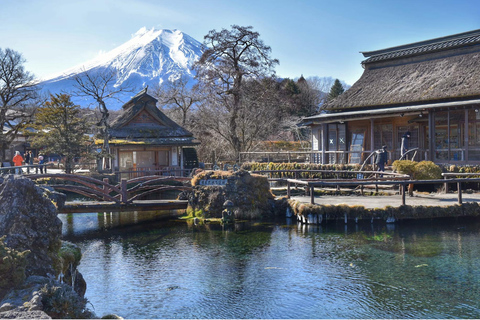 Tokyo: 8-Day Tour with Fuji, Kyoto, Nara, Hiroshima & Osaka Day 8 - Osaka Highlights (Spanish)