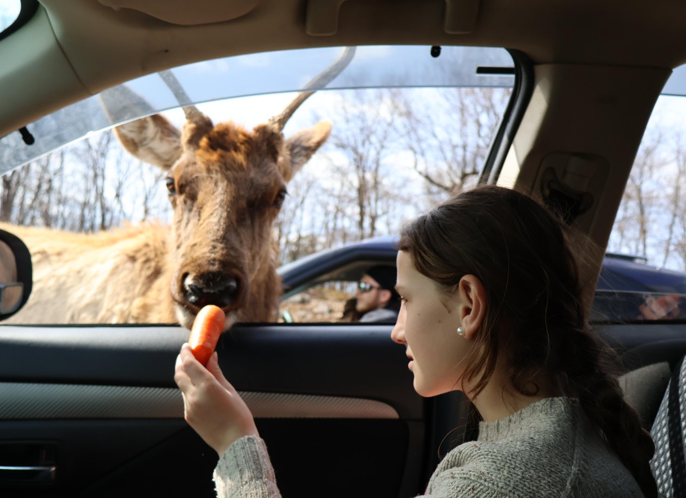 Fra Montreal: Omega Park Wildlife Safari Calling Sounds