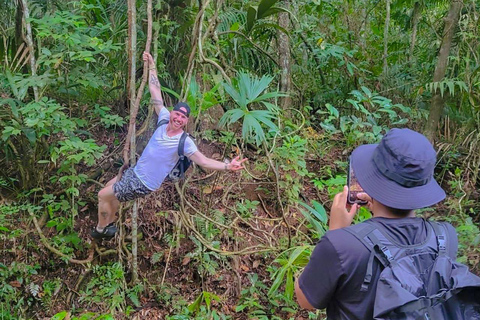 Panama: Tour dell'habitat della giungla delle scimmie e dei bradipi a Panama