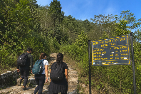 Pokhara: World Peace Pagoda & Pumdikot Day Hike with Guide