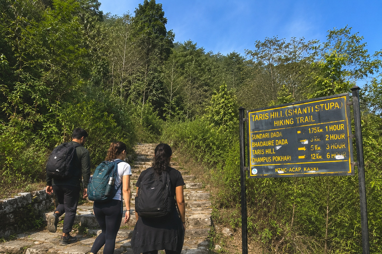 Pokhara: World Peace Pagoda & Pumdikot Day Hike with Guide