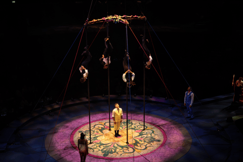 Cirque du Soleil LUDÕ — Vallarta Premium Balcony Experience: Show, Champagne, and Canapés
