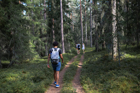 Estonian Countryside and Lahemaa Day Trip from Tallinn