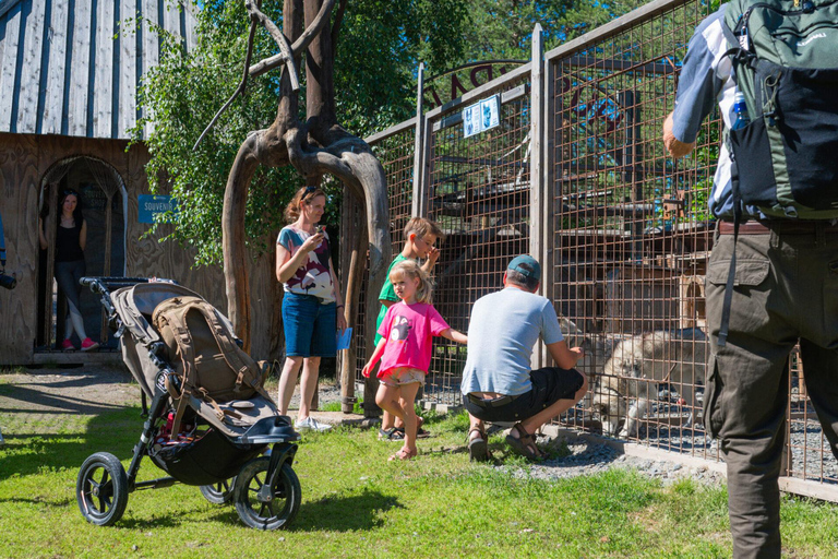 Rovaniemi: Husky & Reindeer Experience with Transfers