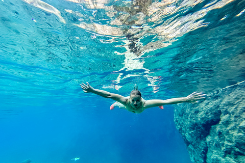 Valencia: watervallen en thermale bronnen Tour met zwemmen