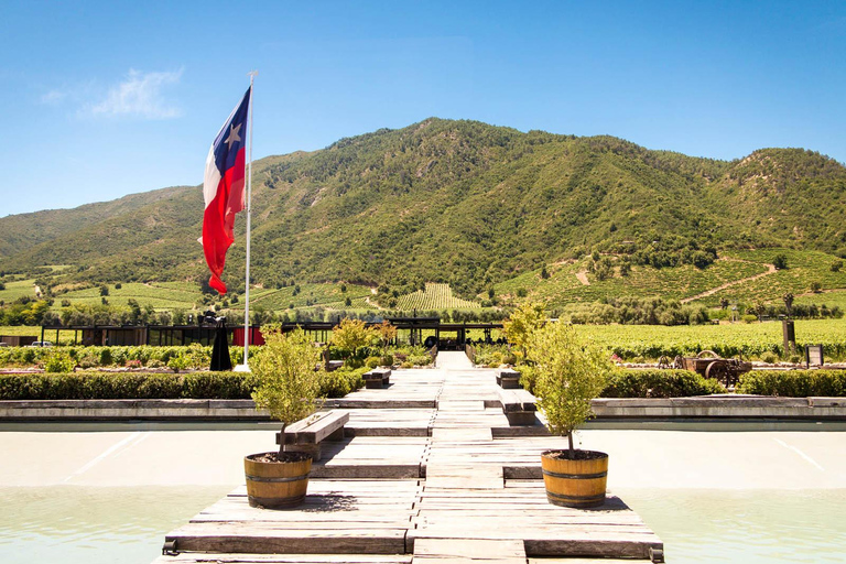 Depuis Santiago : Excursion d'une journée sur la route des vins de la vallée de Colchagua