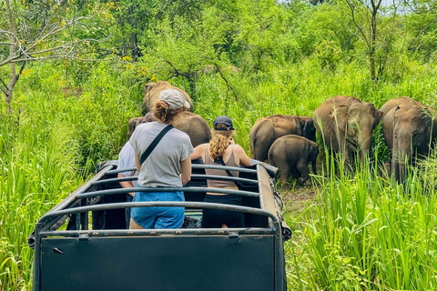 All Inclusive Hurulu Eco Park Morning & Evening Safari Hurulu Eco Park Private Safari ( Without Tickets )