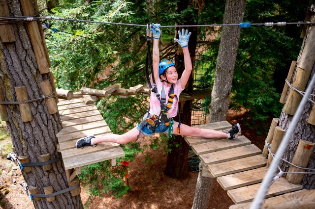 Visit Launceston Hollybank Tree Ropes Course in Tamar Valley