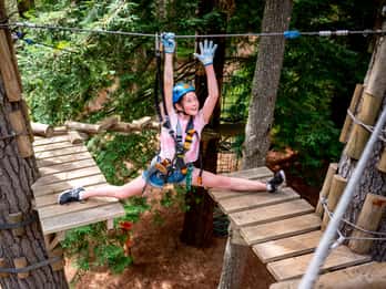 Launceston: Hollybank Tree Ropes Course