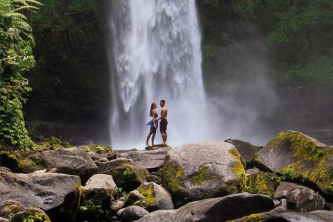 Bali: Discover Jungle Waterfalls and Rice TerracesPrivate Tour with Entry Tickets