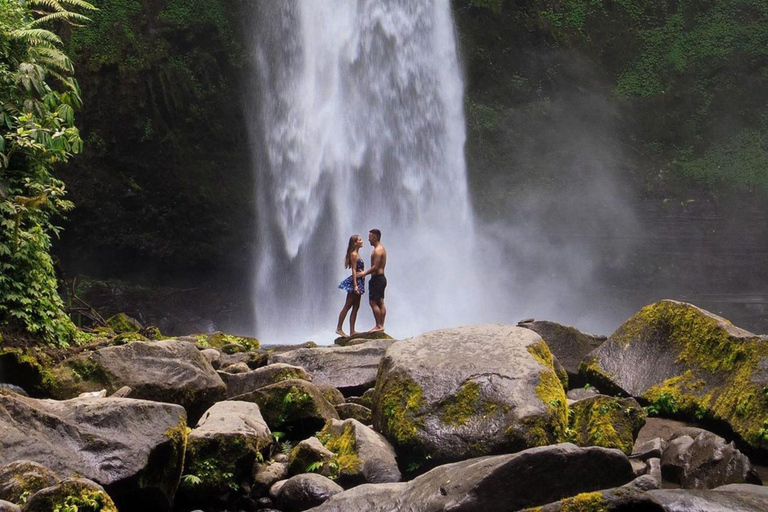 Bali: Discover Jungle Waterfalls and Rice TerracesPrivate Tour with Entry Tickets