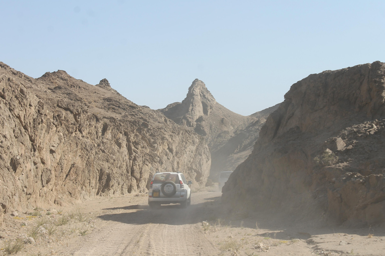 Swakopmund: Namib Desert Sunrise, Seals & Sandwich Harbour