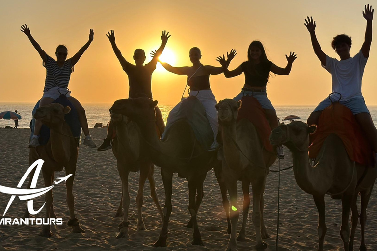 Paseo en camello al atardecer en la playa con cena incluida