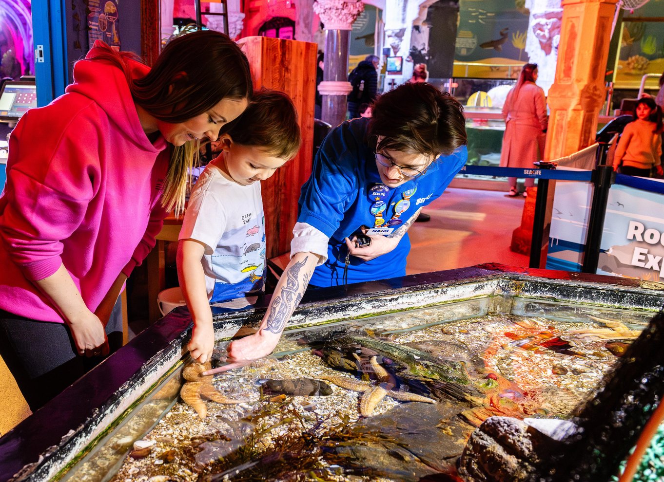 Entré til LEGOLAND California og SEA LIFE Akvarium