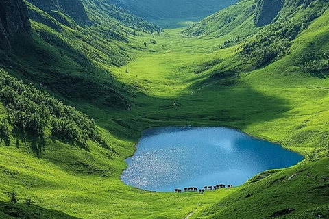 Lijiang：Yulong Snow Mountain Yakniuping Cableway Day Tour Yak Ping Cableway + Blue Moon Valley