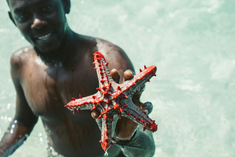Zanzibar: Blue Lagoon Snorkeling & Sandbank Tour with BBQ Blue Lagoon Snorkeling & Sandbank Tour without Transfer
