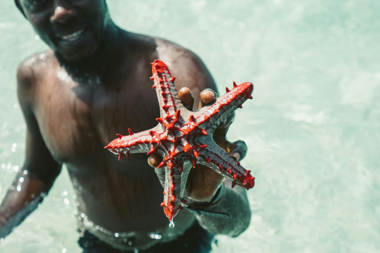 Zanzibar: Blue Lagoon Snorkeling & Sandbank Tour with BBQ Blue Lagoon Snorkeling & Sandbank Tour without Transfer