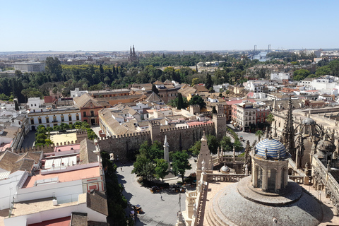 Seville: Entrance and guided tour of the Cathedral Seville: Entrance fee and guided tour Cathedral