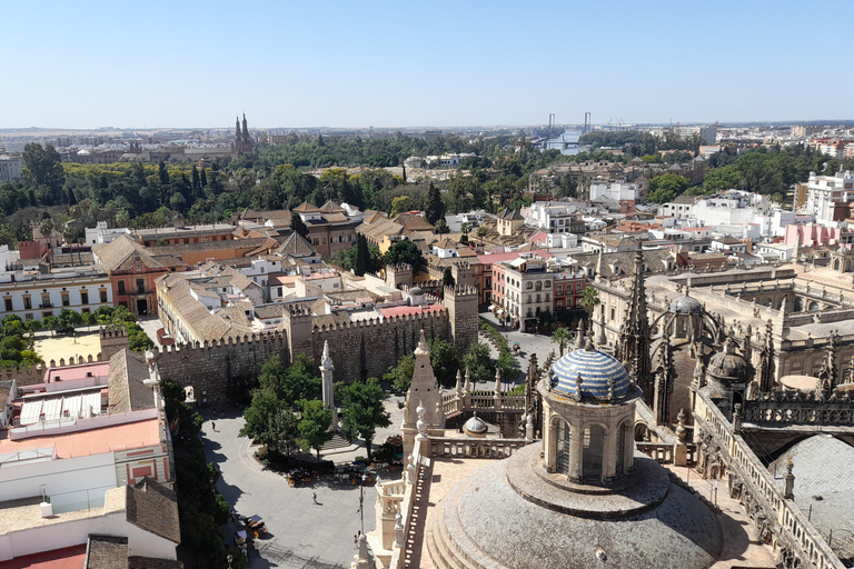 Seville: Entrance and guided tour of the Cathedral Seville: Entrance fee and guided tour Cathedral