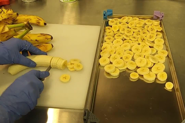 Punta Cana: Chillo al Coco Dominican Cooking Class