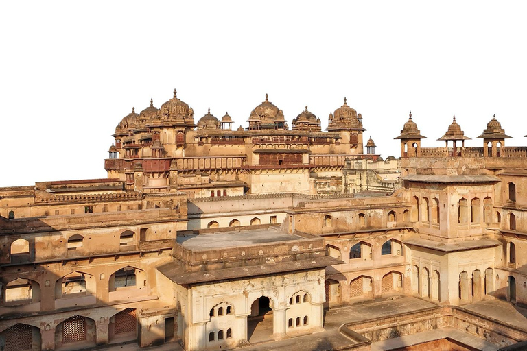 Tour di un giorno di Orchha e del Forte di Jhansi da Khajuraho con guida